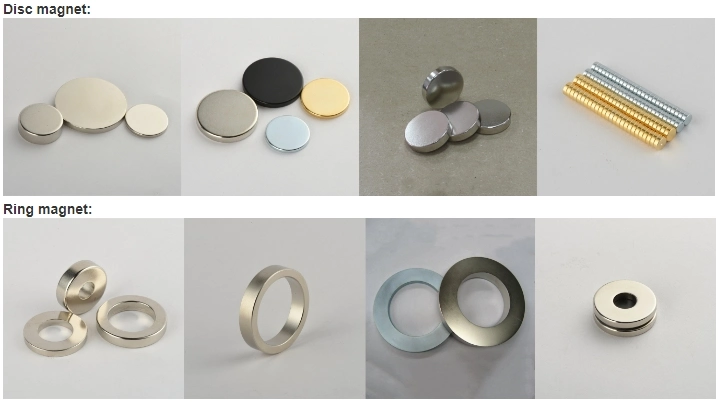 Permanent Magnetic Assemblies, One Outer Steel Ring, 5 Segments Coated with Epoxy Resin