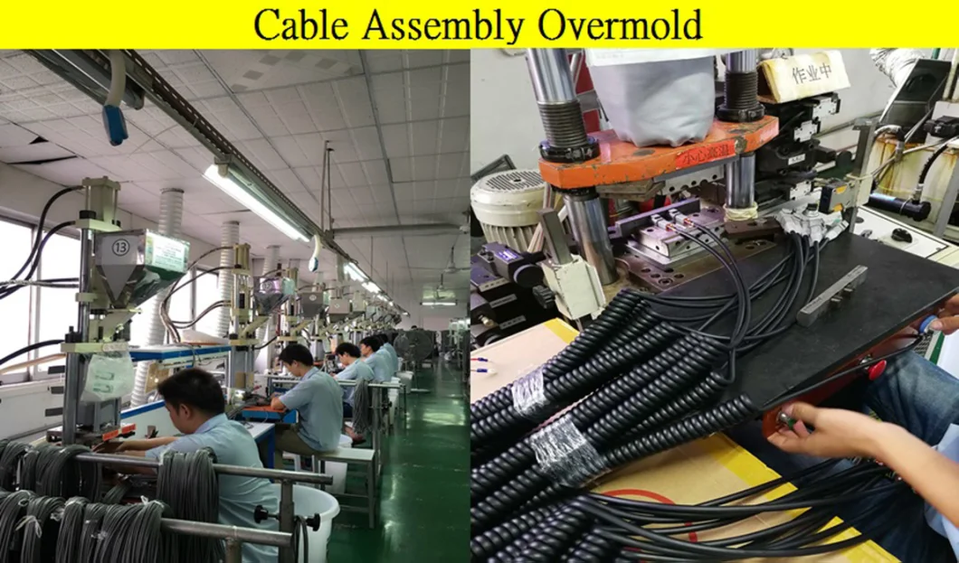 Cable Assembly with Magnetic Ring, Magnetic Ring Cable