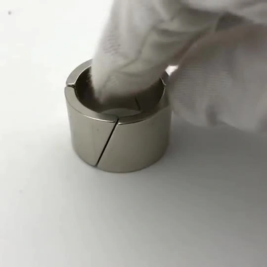 Customized Magnet Segment Magnet Neodymium Magnet